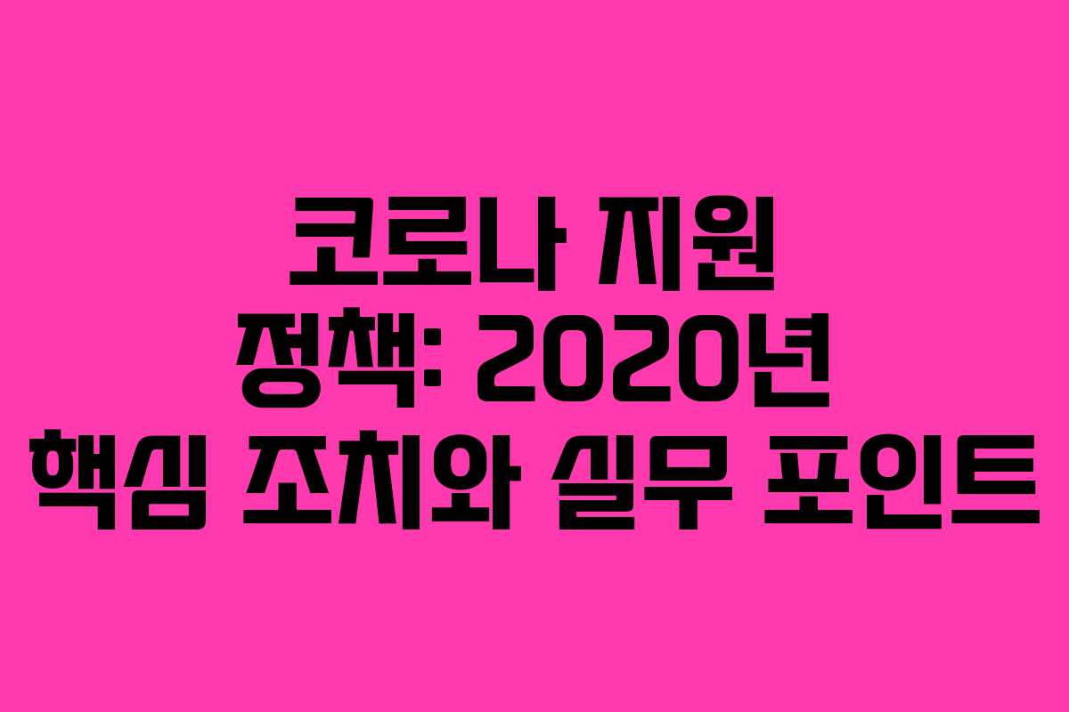 코로나 지원 정책: 2020년 핵심 조치와 실무 포인트