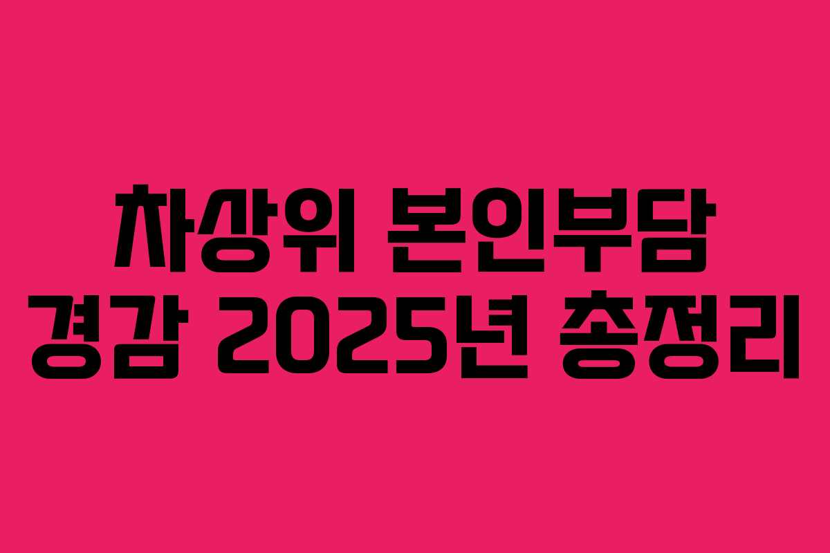 차상위 본인부담 경감 2025년 총정리 차상위 본인부담 경감 2025년 총정리
