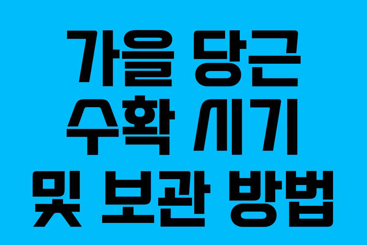 가을 당근 수확 시기 및 보관 방법