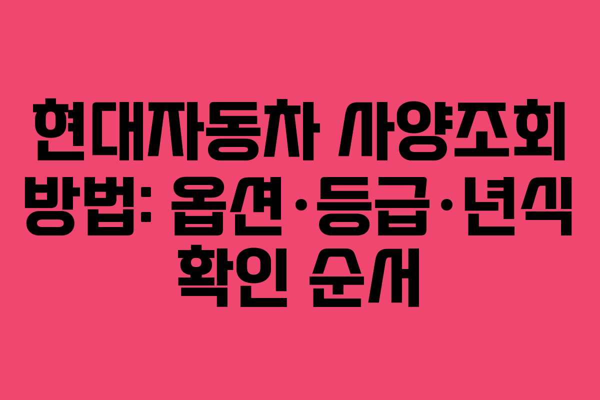 현대자동차 사양조회 방법: 옵션·등급·년식 확인 순서