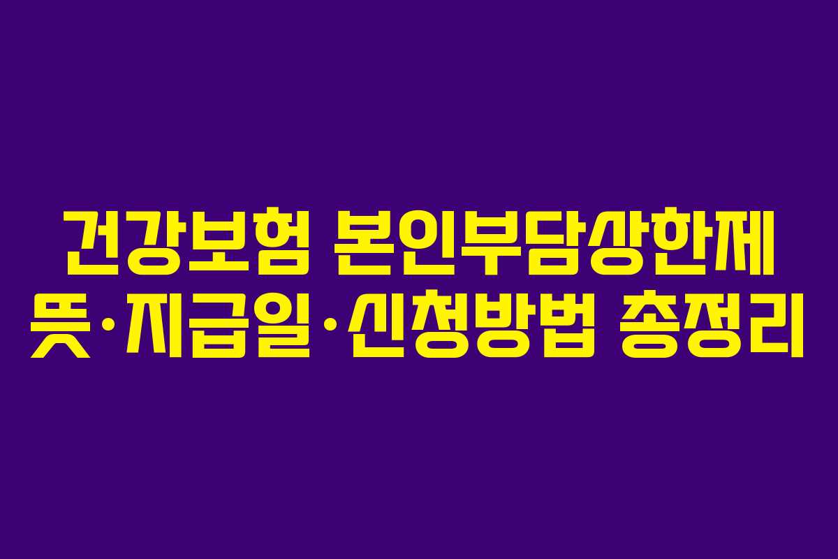 건강보험 본인부담상한제 뜻·지급일·신청방법 총정리
