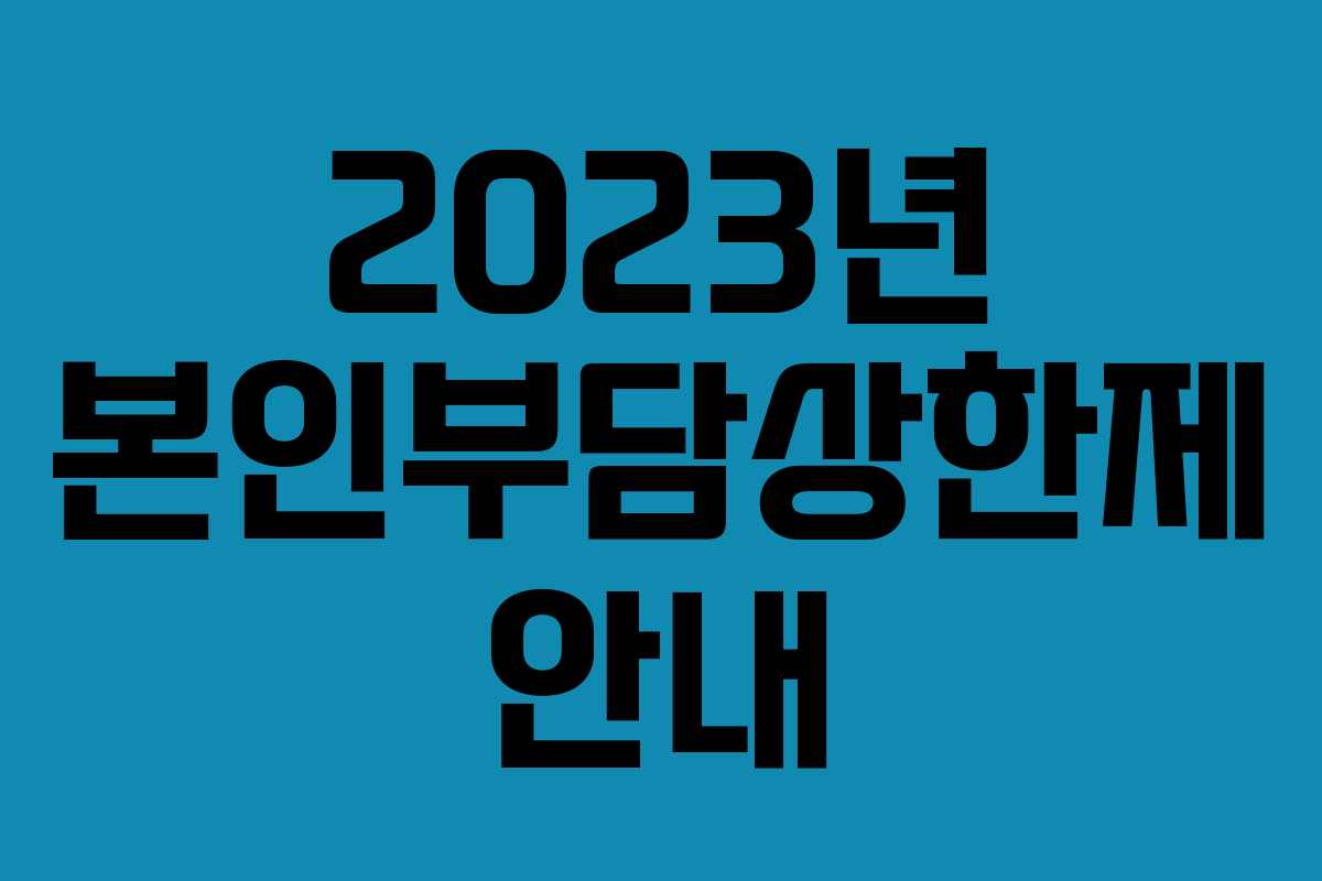 2023년 본인부담상한제 안내 2023년 본인부담상한제 안내