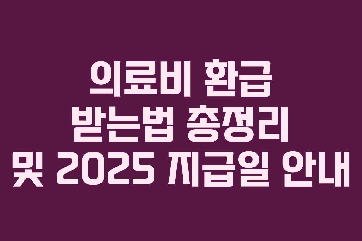 의료비 환급 받는법 총정리 및 2025 지급일 안내