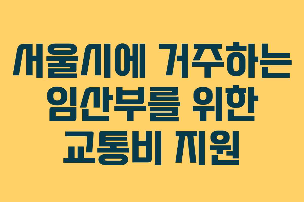 서울시에 거주하는 임산부를 위한 교통비 지원