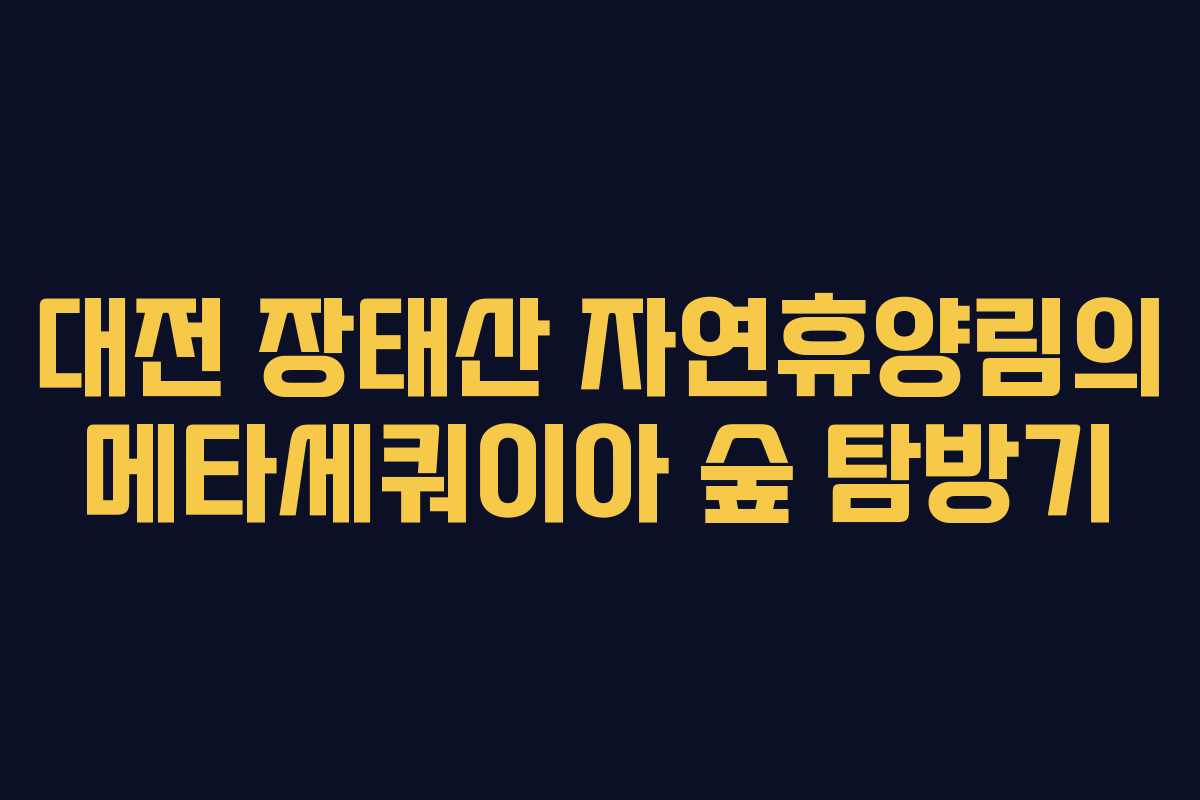 대전 장태산 자연휴양림의 메타세쿼이아 숲 탐방기