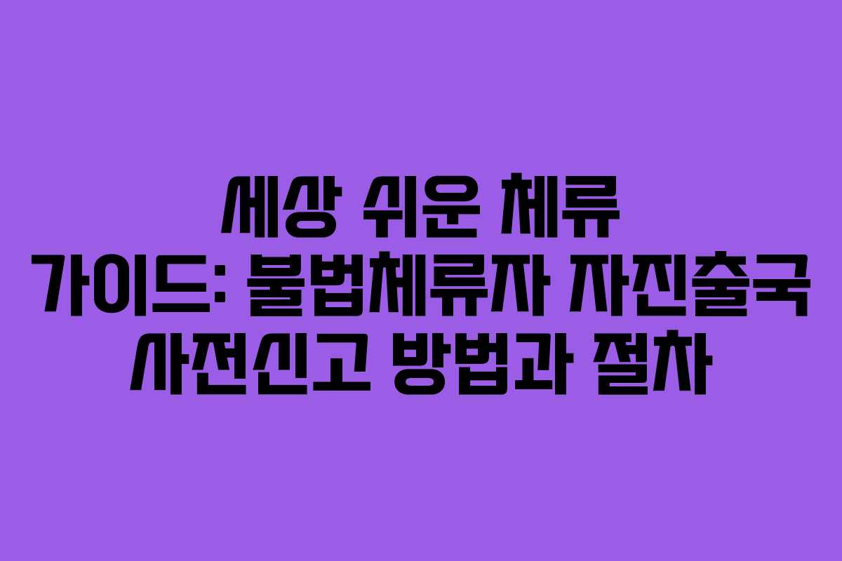 세상 쉬운 체류 가이드: 불법체류자 자진출국 사전신고 방법과 절차