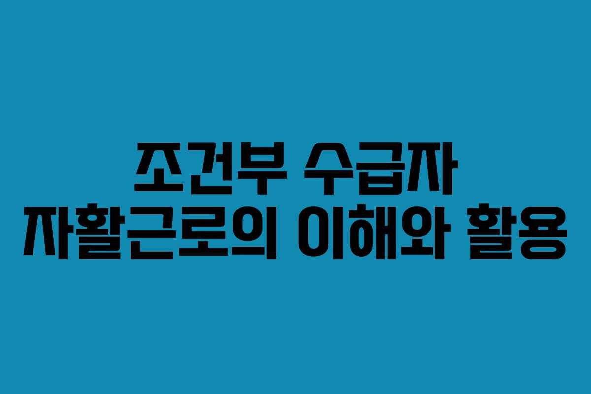 조건부 수급자 자활근로의 이해와 활용