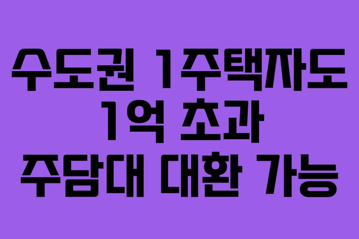 수도권 1주택자도 1억 초과 주담대 대환 가능