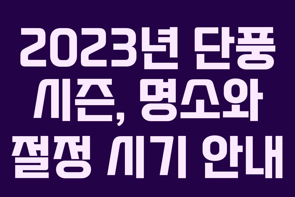 2023년 단풍 시즌, 명소와 절정 시기 안내