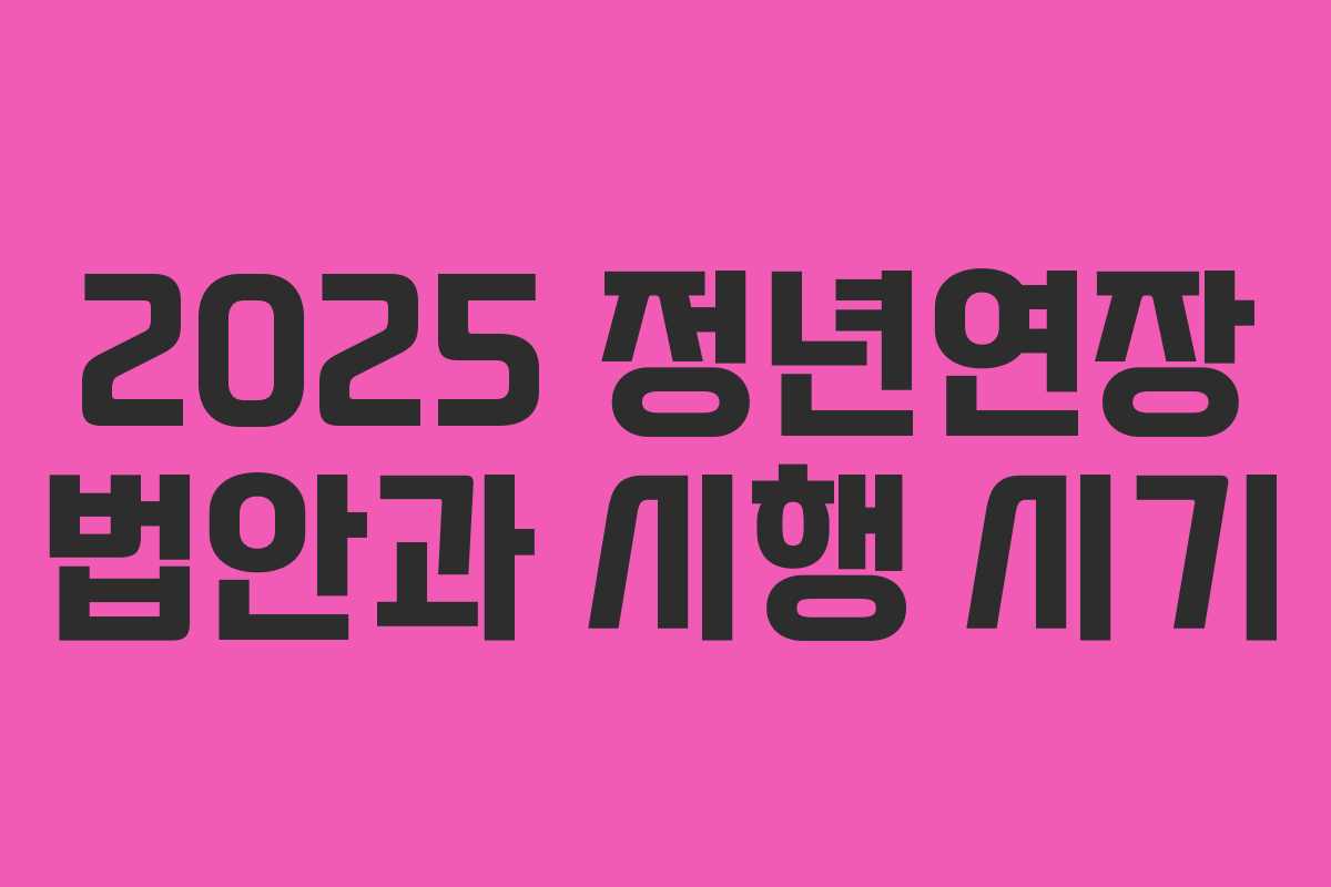2025 정년연장 법안과 시행 시기