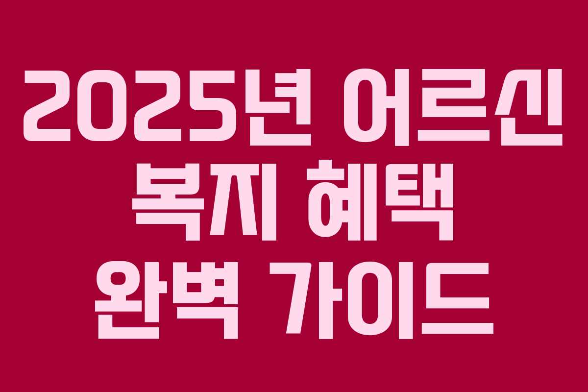2025년 어르신 복지 혜택 완벽 가이드