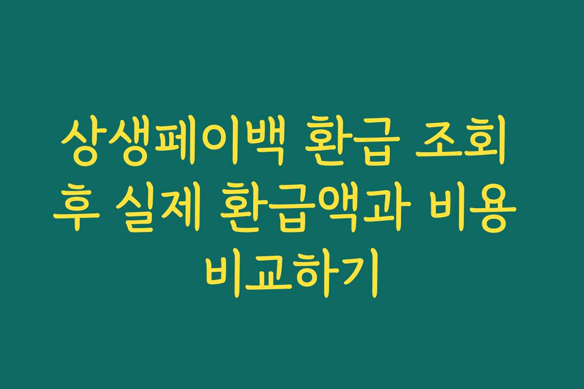 상생페이백 환급 조회 후 실제 환급액과 비용 비교하기
