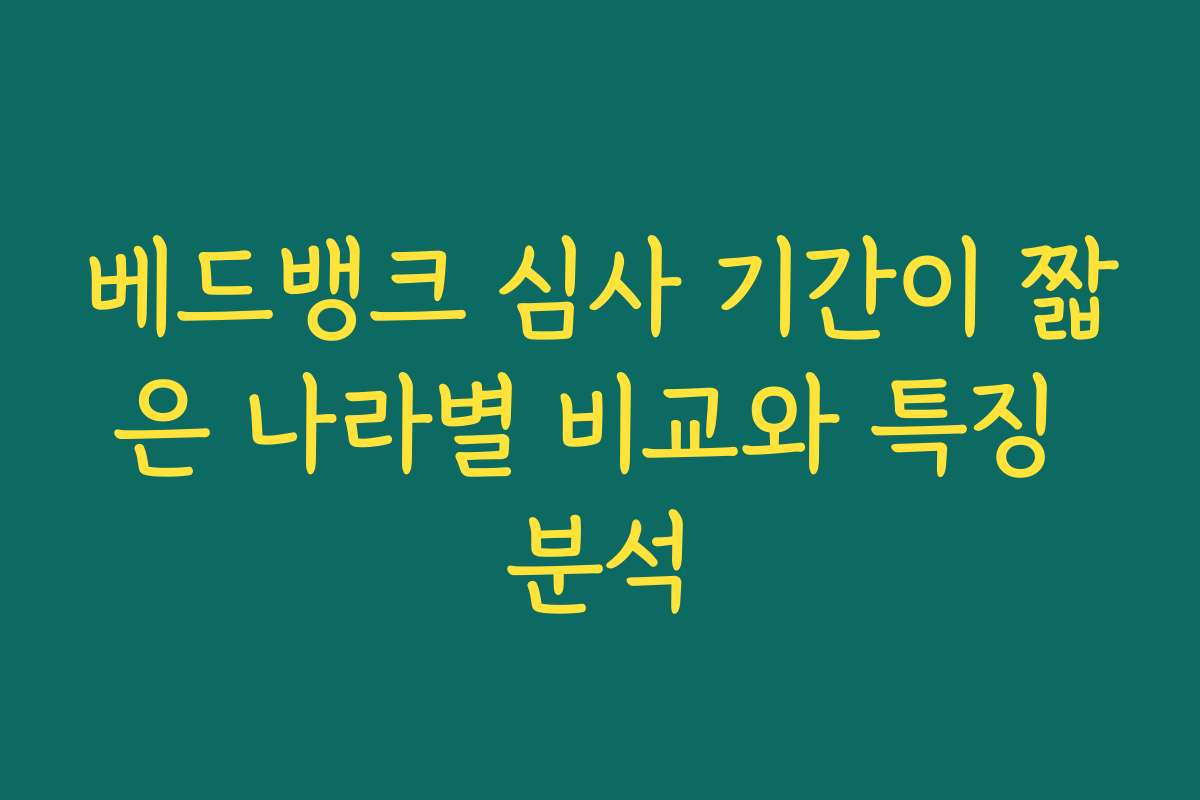 베드뱅크 심사 기간이 짧은 나라별 비교와 특징 분석