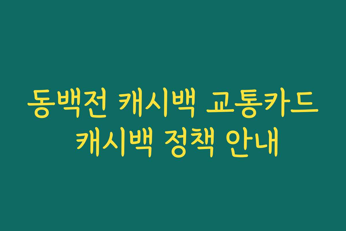 동백전 캐시백 교통카드 캐시백 정책 안내