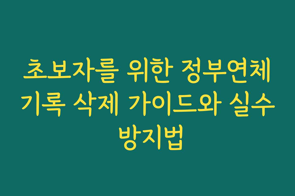 초보자를 위한 정부연체기록 삭제 가이드와 실수 방지법