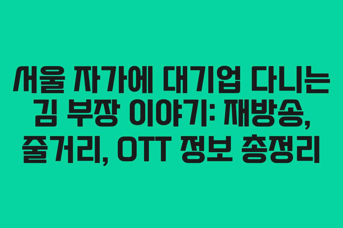 서울 자가에 대기업 다니는 김 부장 이야기: 재방송, 줄거리, OTT 정보 총정리