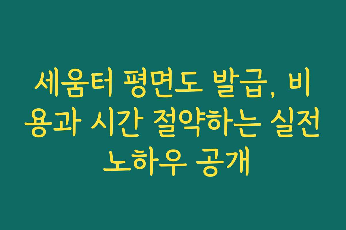 세움터 평면도 발급, 비용과 시간 절약하는 실전 노하우 공개