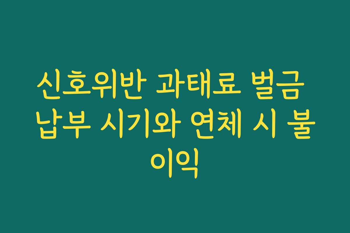 신호위반 과태료 벌금 납부 시기와 연체 시 불이익
