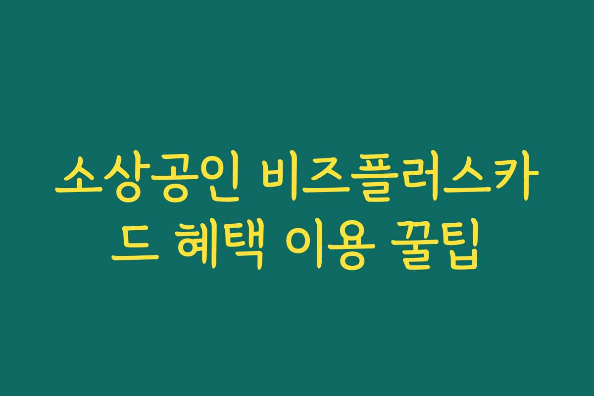 소상공인 비즈플러스카드 혜택 이용 꿀팁