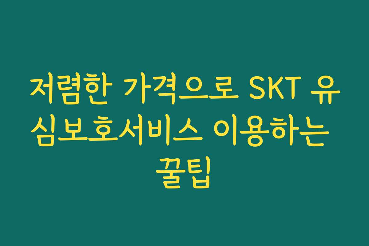 저렴한 가격으로 SKT 유심보호서비스 이용하는 꿀팁