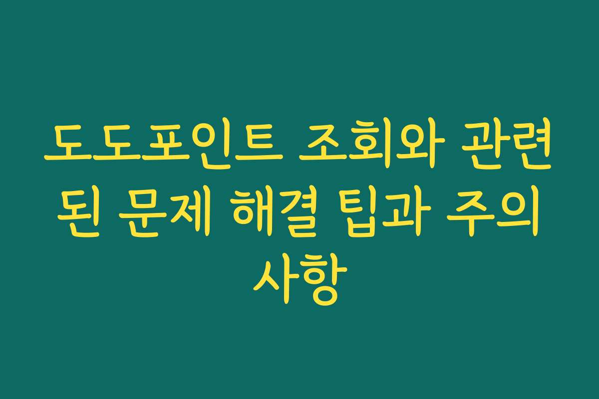 도도포인트 조회와 관련된 문제 해결 팁과 주의사항