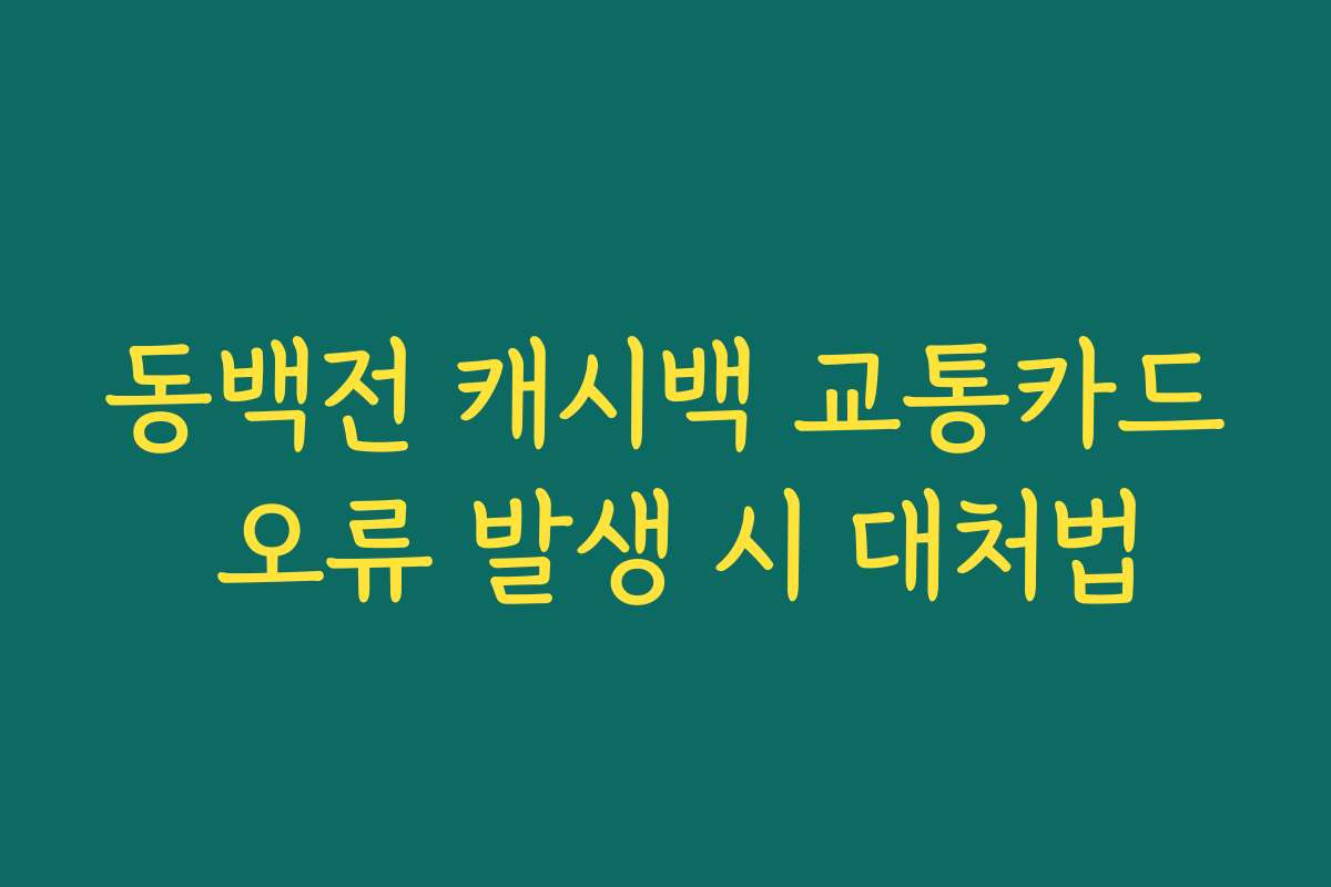 동백전 캐시백 교통카드 오류 발생 시 대처법