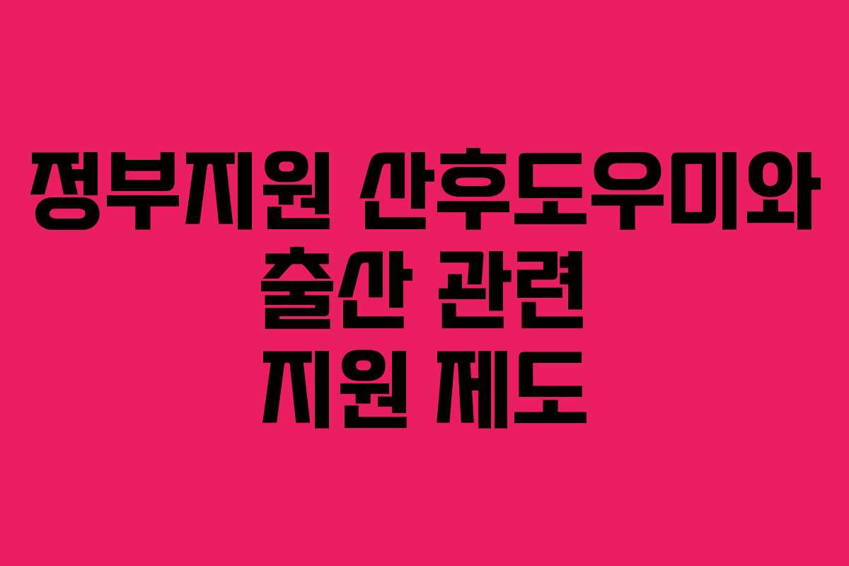 정부지원 산후도우미와 출산 관련 지원 제도
