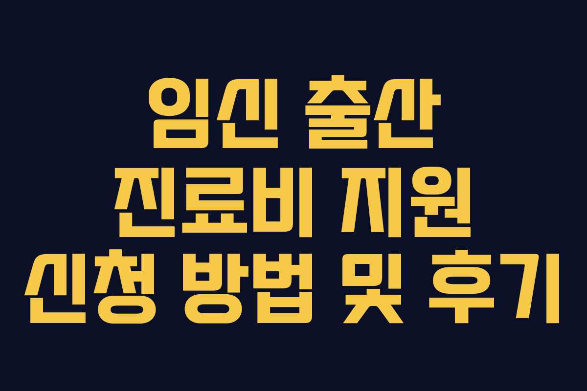 임신 출산 진료비 지원 신청 방법 및 후기 임신 출산 진료비 지원 신청 방법 및 후기