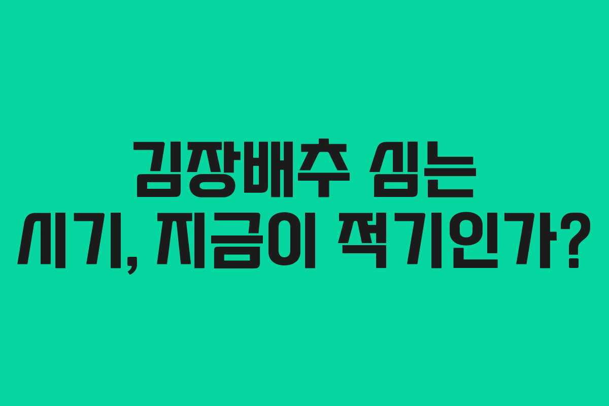 김장배추 심는 시기, 지금이 적기인가? 김장배추 심는 시기, 지금이 적기인가?