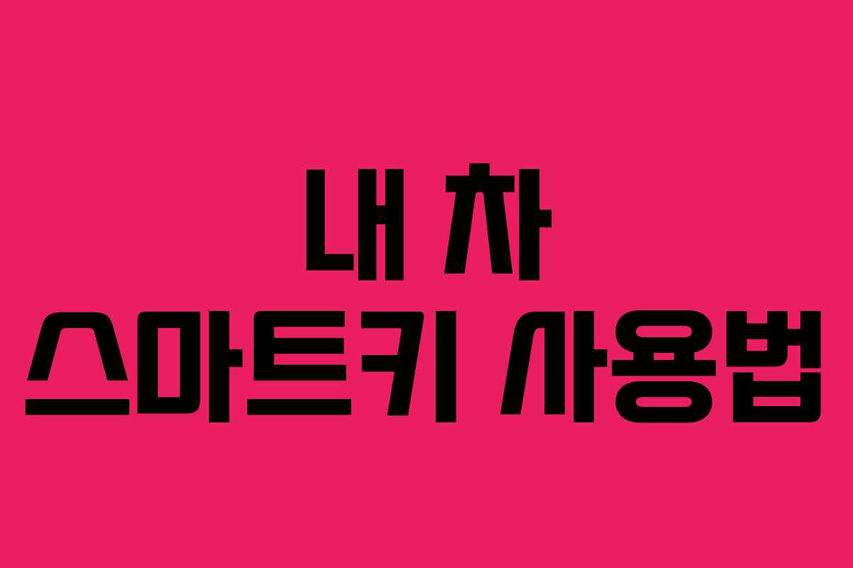 내 차 스마트키 사용법