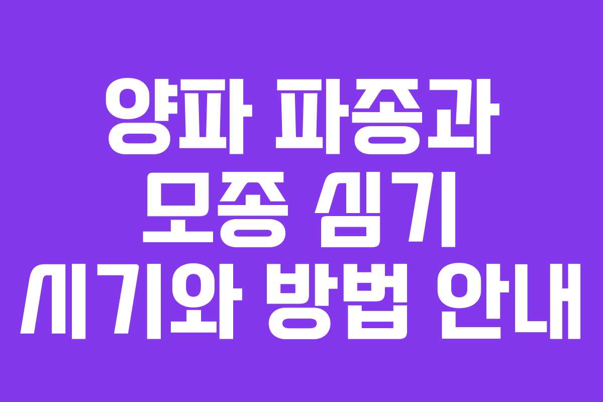 양파 파종과 모종 심기 시기와 방법 안내
