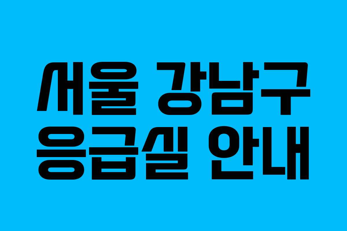 서울 강남구 응급실 안내