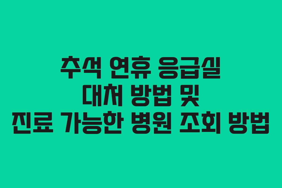 추석 연휴 응급실 대처 방법 및 진료 가능한 병원 조회 방법