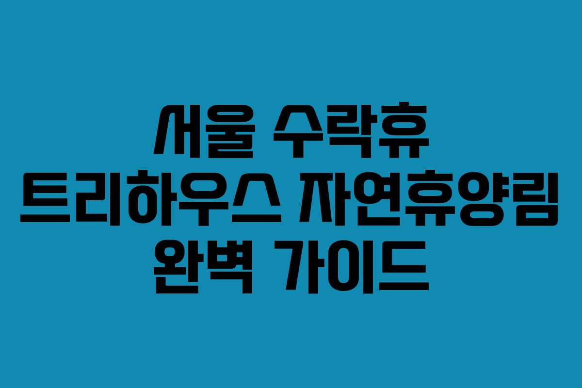 서울 수락휴 트리하우스 자연휴양림 완벽 가이드