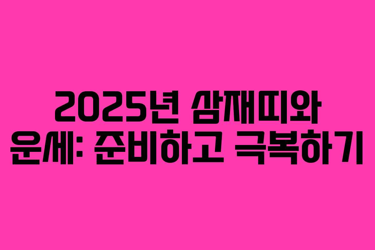 2025년 삼재띠와 운세: 준비하고 극복하기