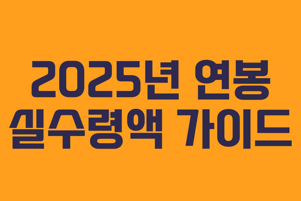 2025년 연봉 실수령액 가이드 2025년 연봉 실수령액 가이드