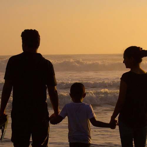 군인 및 국가유공자 가족을 위한 영외마트와 PX 이용 안내 군인 및 국가유공자 가족을 위한 영외마트와 PX 이용 안내