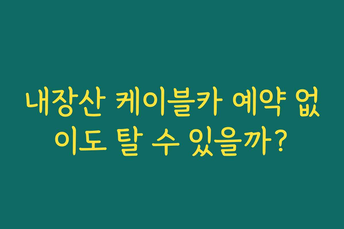 내장산 케이블카 예약 없이도 탈 수 있을까?