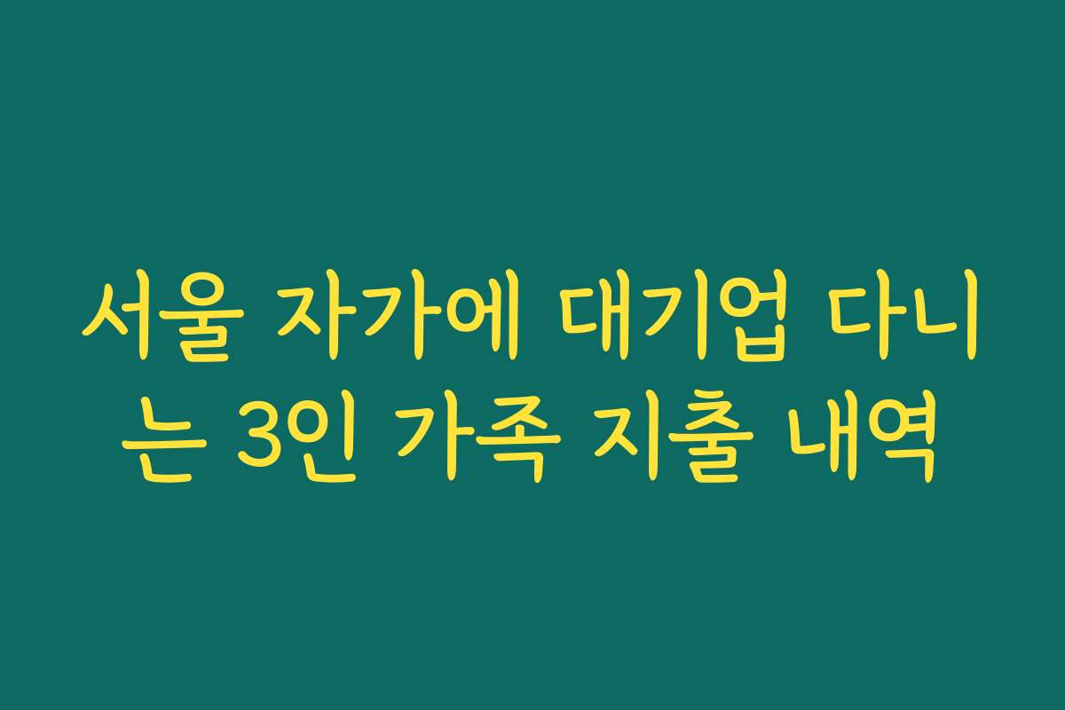 서울 자가에 대기업 다니는 3인 가족 지출 내역