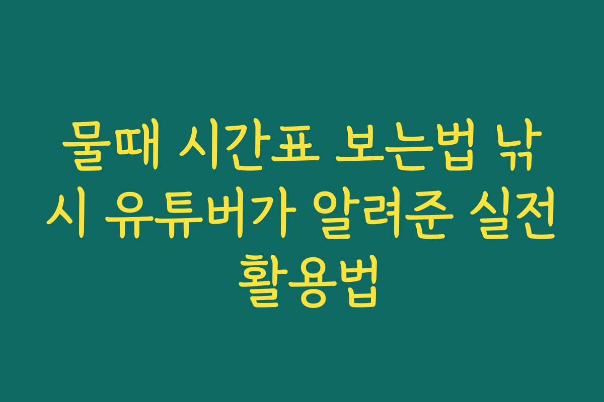 물때 시간표 보는법 낚시 유튜버가 알려준 실전 활용법