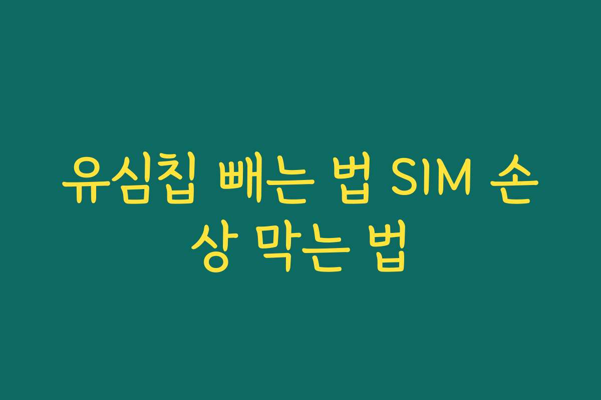 유심칩 빼는 법 SIM 손상 막는 법