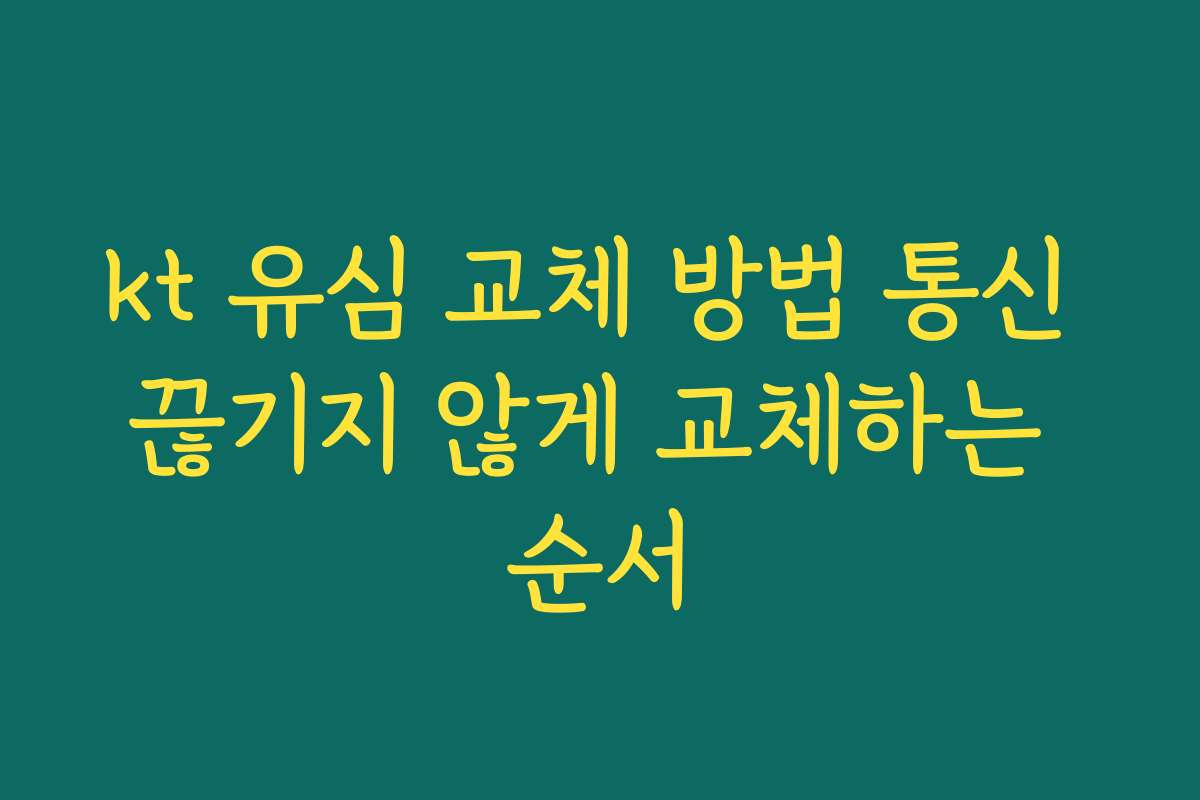 kt 유심 교체 방법 통신 끊기지 않게 교체하는 순서