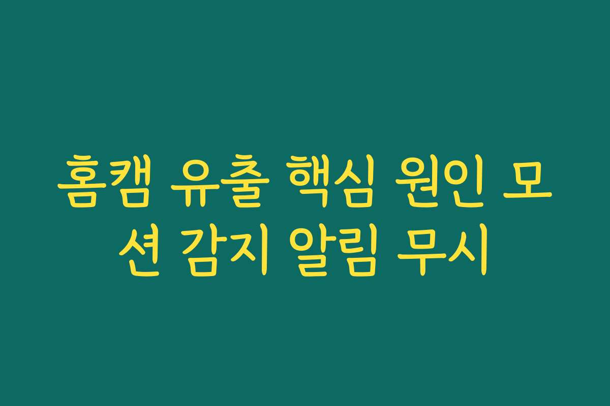 홈캠 유출 핵심 원인 모션 감지 알림 무시