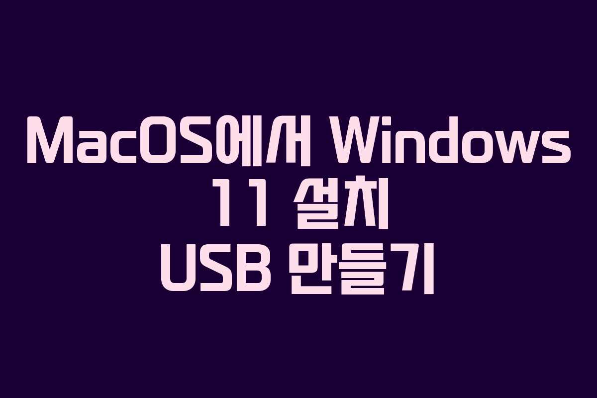 MacOS에서 Windows 11 설치 USB 만들기