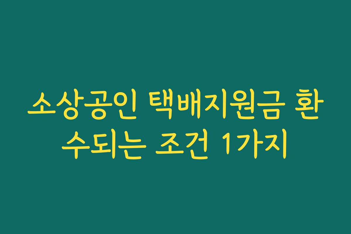 소상공인 택배지원금 환수되는 조건 1가지