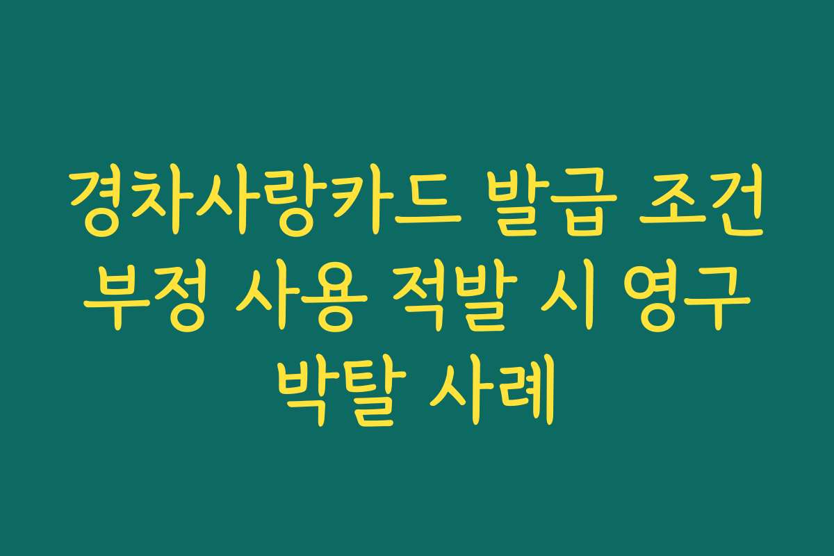 경차사랑카드 발급 조건 부정 사용 적발 시 영구 박탈 사례