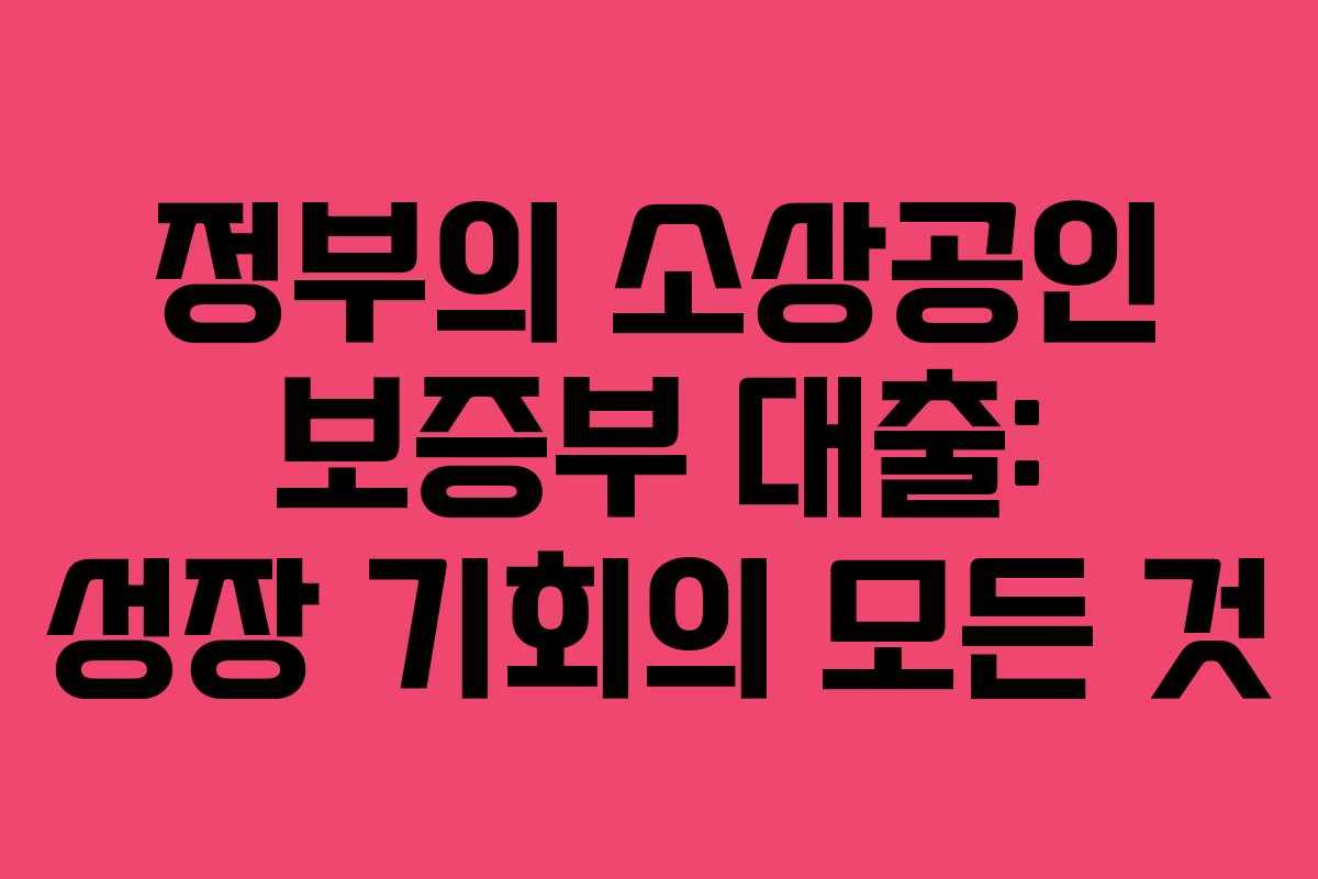 정부의 소상공인 보증부 대출: 성장 기회의 모든 것