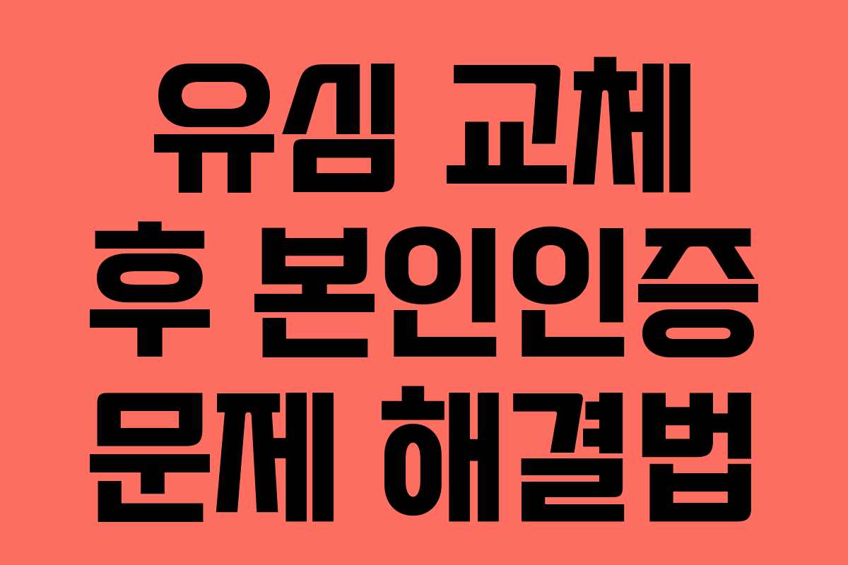 유심 교체 후 본인인증 문제 해결법