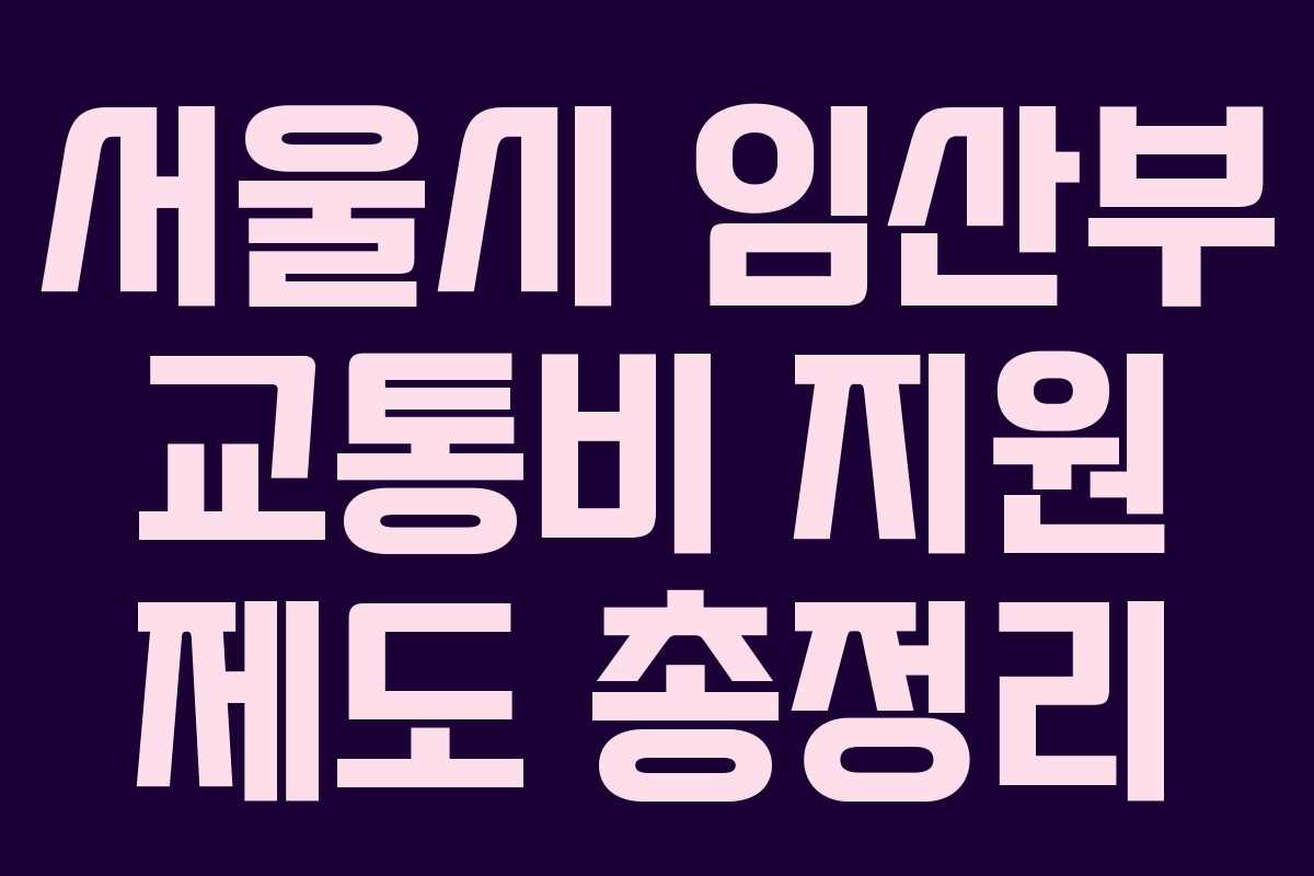서울시 임산부 교통비 지원 제도 총정리