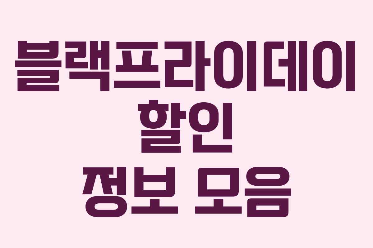 블랙프라이데이 할인 정보 모음